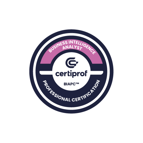 Business Intelligent Analyst